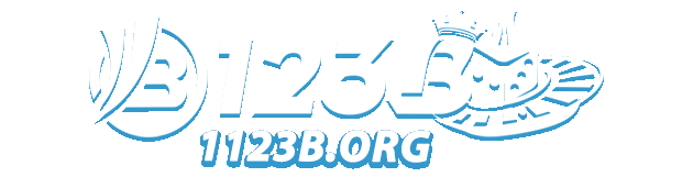 1123b org